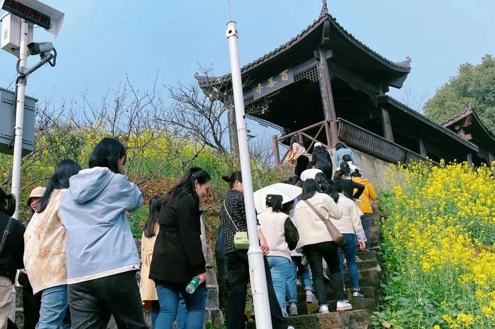 獻(xiàn)禮3.8節(jié)|勇做攀登者，奮進(jìn)新未來