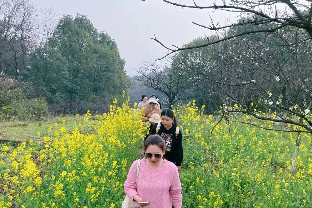 獻(xiàn)禮3.8節(jié)|勇做攀登者，奮進(jìn)新未來