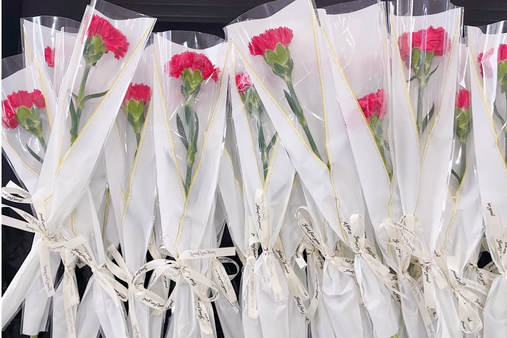 獻(xiàn)禮3.8節(jié)|勇做攀登者，奮進(jìn)新未來